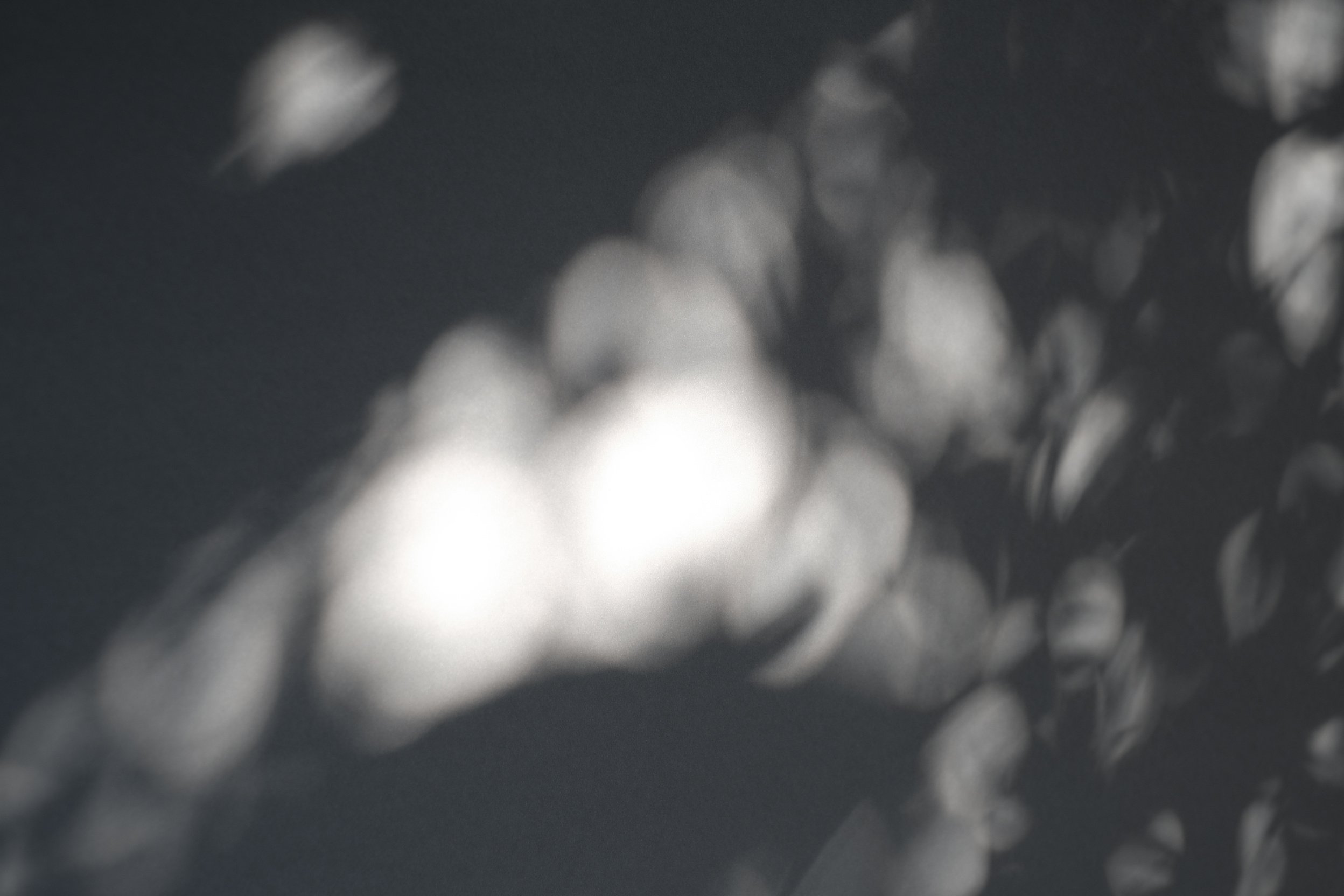 Dappled Shadows Background